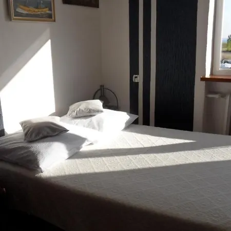 Fitosfera Inez Jastarnia