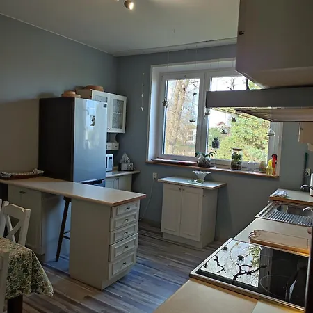 Fitosfera Inez Jastarnia