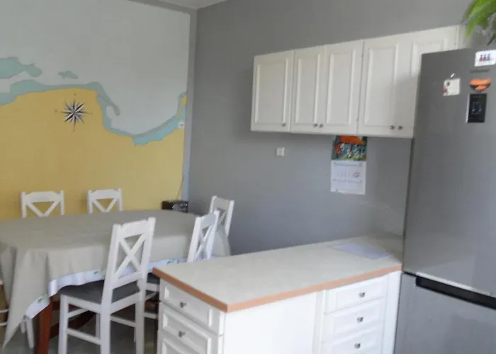 Fitosfera Inez 야스타르니아