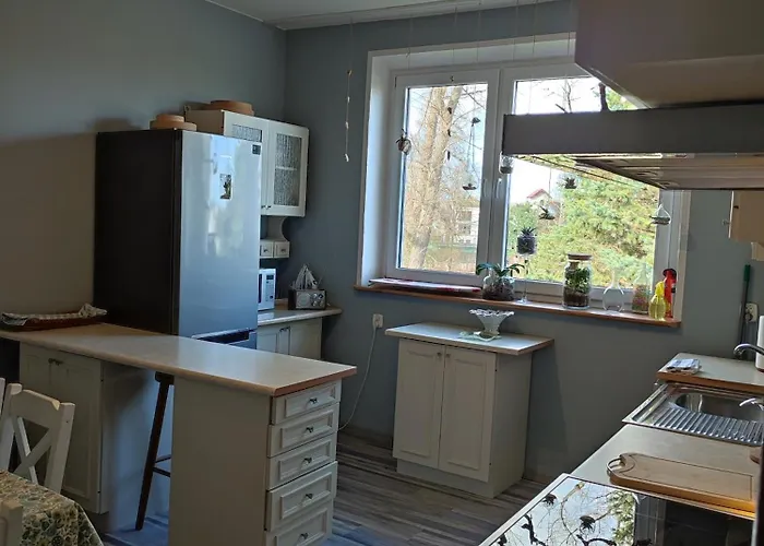 Fitosfera Inez 야스타르니아