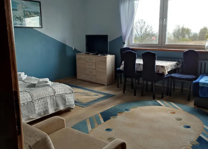 Fitosfera Inez * 야스타르니아