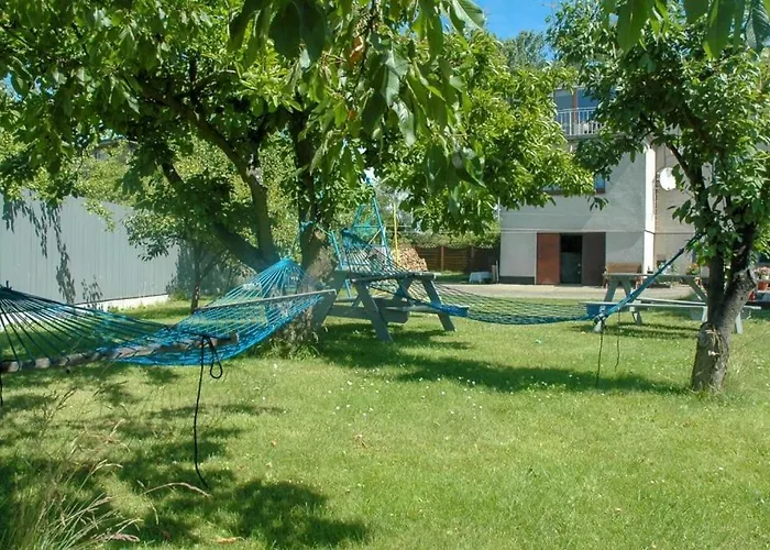 Fitosfera Inez 야스타르니아